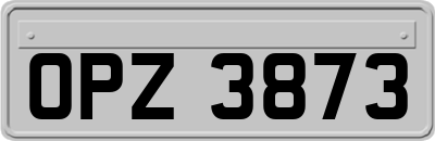 OPZ3873