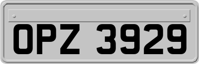 OPZ3929