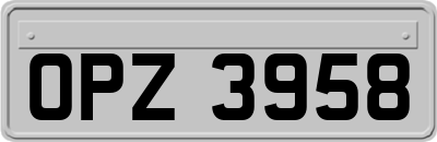 OPZ3958