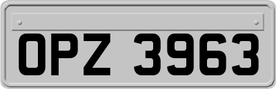 OPZ3963
