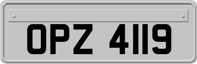 OPZ4119