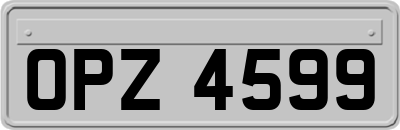 OPZ4599