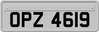 OPZ4619