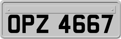 OPZ4667