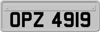 OPZ4919