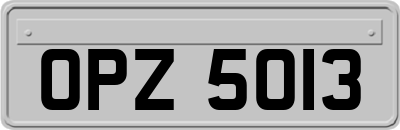 OPZ5013