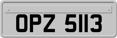 OPZ5113