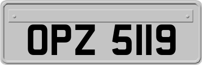 OPZ5119