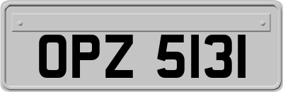 OPZ5131
