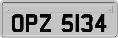 OPZ5134