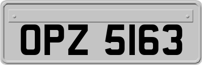 OPZ5163