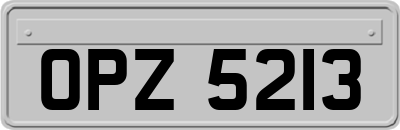 OPZ5213