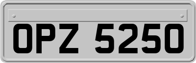 OPZ5250