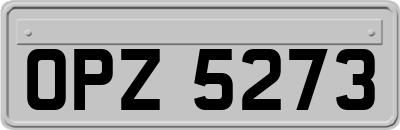 OPZ5273