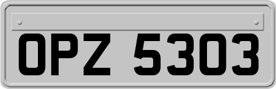 OPZ5303