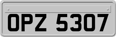 OPZ5307