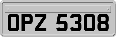 OPZ5308