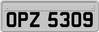 OPZ5309