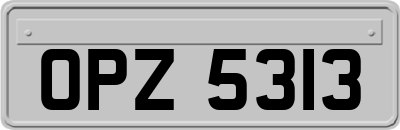 OPZ5313