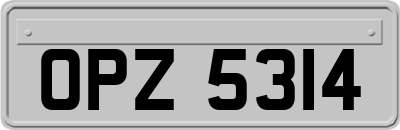 OPZ5314