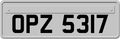 OPZ5317