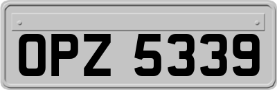OPZ5339