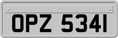 OPZ5341