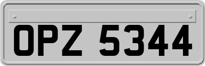 OPZ5344