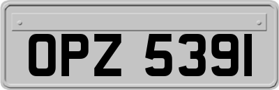 OPZ5391