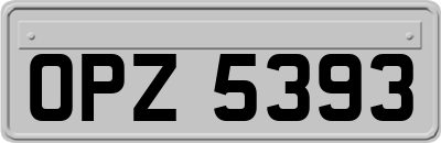 OPZ5393