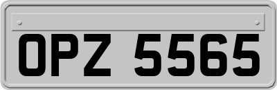 OPZ5565