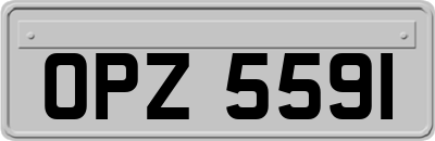 OPZ5591