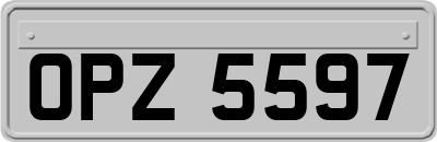OPZ5597