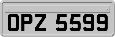 OPZ5599