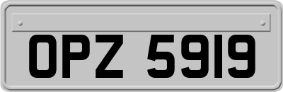 OPZ5919