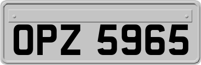 OPZ5965