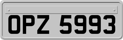 OPZ5993
