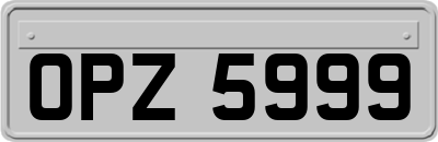 OPZ5999