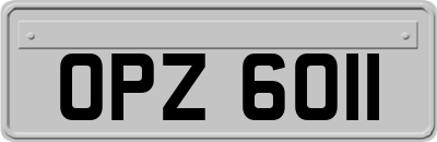 OPZ6011