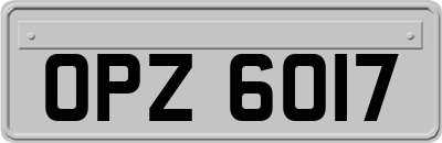 OPZ6017