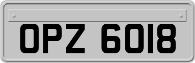 OPZ6018