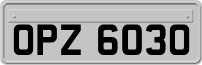 OPZ6030