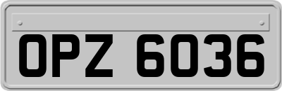 OPZ6036