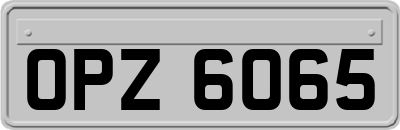 OPZ6065