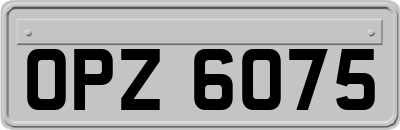 OPZ6075