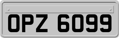 OPZ6099
