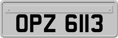 OPZ6113