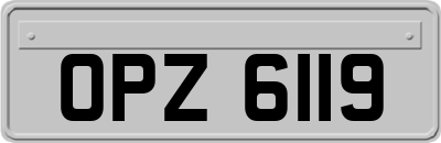 OPZ6119