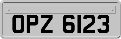 OPZ6123