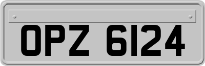OPZ6124